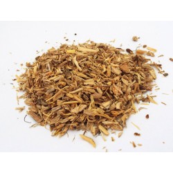 10gms Angelica Root